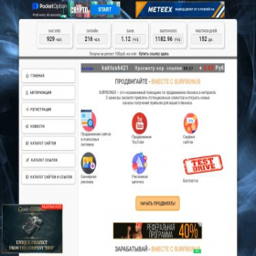 Скриншот главной страницы сайта surfbonus.ru