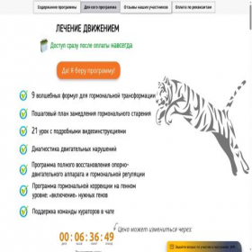 Скриншот главной страницы сайта svetyashhiesya-snegoviki.online