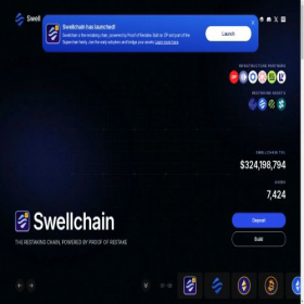 Скриншот главной страницы сайта swellnetwork.io