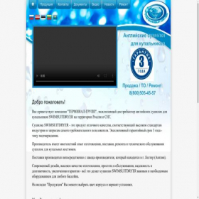 Скриншот главной страницы сайта swimsuitdryer.ru
