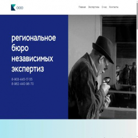 Скриншот главной страницы сайта sydekspert.ru