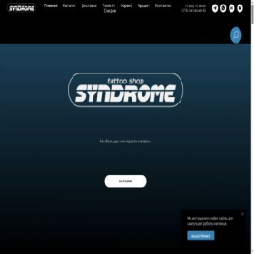 Скриншот главной страницы сайта syndromeshop.ru