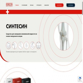 Скриншот главной страницы сайта syntesyn.ru