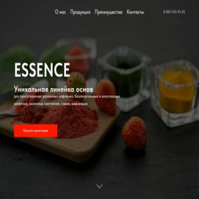 Скриншот главной страницы сайта syrup-essence.ru