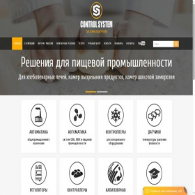 Скриншот главной страницы сайта systemcontrol.ru