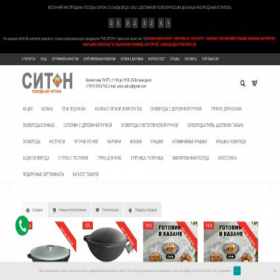 Скриншот главной страницы сайта syton.spb.ru