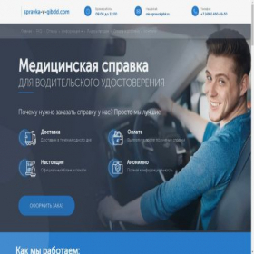 Скриншот главной страницы сайта t.spravki-v-gibdd.info