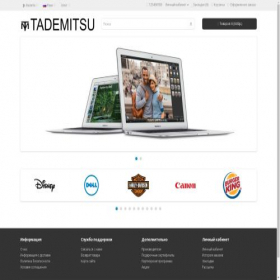 Скриншот главной страницы сайта tademitsu.ru