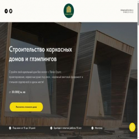 Скриншот главной страницы сайта talasgroup.ru
