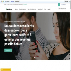 Скриншот главной страницы сайта tamblazefinlimited.com