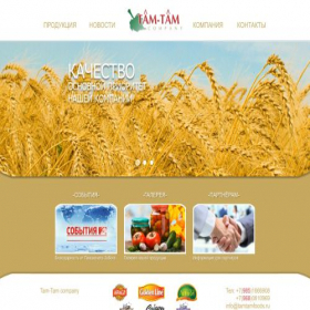 Скриншот главной страницы сайта tamtamfoods.ru