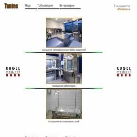 Скриншот главной страницы сайта tantec.ru