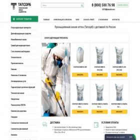 Скриншот главной страницы сайта tatsorb.com