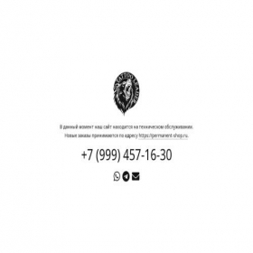 Скриншот главной страницы сайта tattoo-leader-shop.ru
