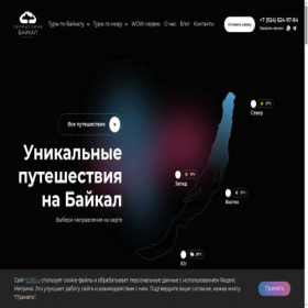 Скриншот главной страницы сайта tb38.ru