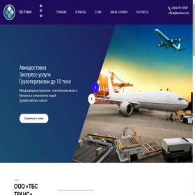 Скриншот главной страницы сайта tbstrans.com