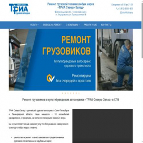Скриншот главной страницы сайта tctria.ru