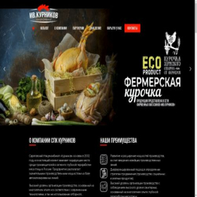 Скриншот главной страницы сайта td-kurnikov.ru
