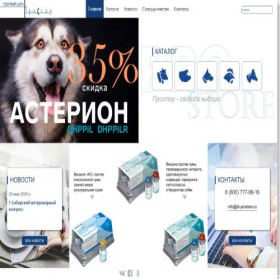 Скриншот главной страницы сайта td-prostore.ru