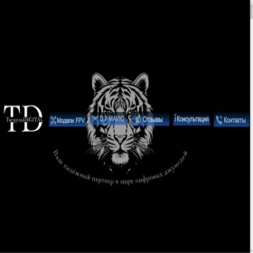 Скриншот главной страницы сайта tdigital.shop