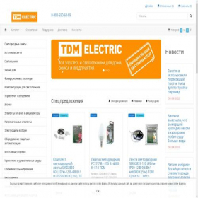 Скриншот главной страницы сайта tdm-electric.spb.ru