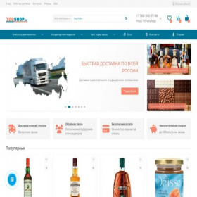 Скриншот главной страницы сайта tdoshop.ru