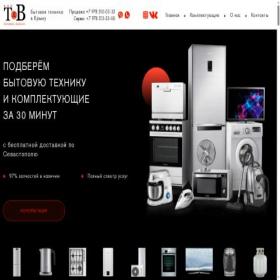 Скриншот главной страницы сайта tdv-shop.ru