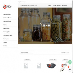 Скриншот главной страницы сайта tdvector.com