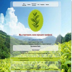 Скриншот главной страницы сайта tea50.online
