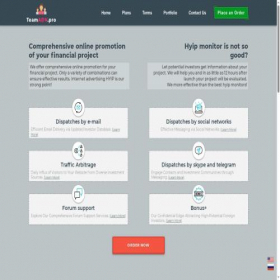 Скриншот главной страницы сайта teamadv.pro