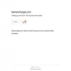 Скриншот главной страницы сайта teamexchanges.com