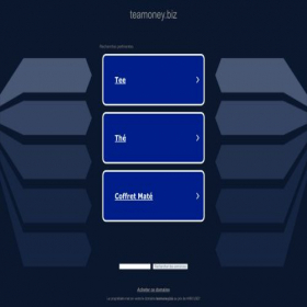 Скриншот главной страницы сайта teamoney.biz