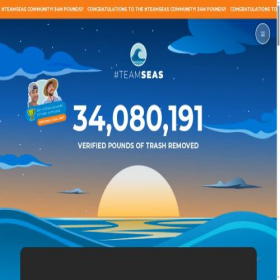 Скриншот главной страницы сайта teamseas.org
