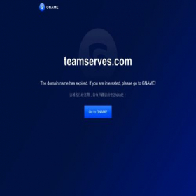 Скриншот главной страницы сайта teamserves.com
