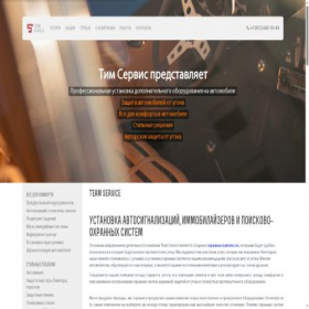Скриншот главной страницы сайта teamservice.spb.ru