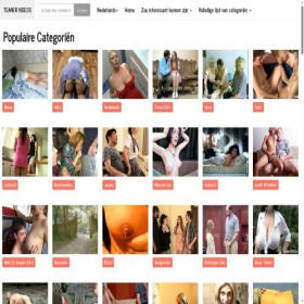 Скриншот главной страницы сайта teaner.com