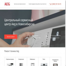 Скриншот главной страницы сайта tech-ag-service.ru