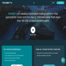 Скриншот главной страницы сайта techberry.online