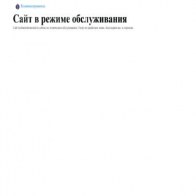 Скриншот главной страницы сайта technoinstrumental.ru