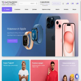 Скриншот главной страницы сайта technolider24.ru