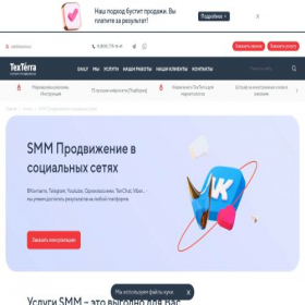 Скриншот главной страницы сайта techsmmera.ru
