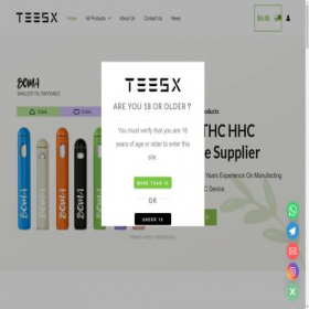 Скриншот главной страницы сайта teesxvape.com