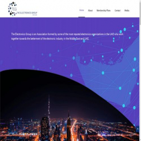 Скриншот главной страницы сайта teg-uae.com