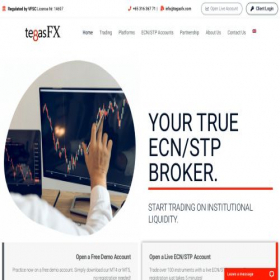 Скриншот главной страницы сайта tegasfx.com