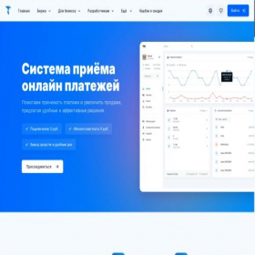 Скриншот главной страницы сайта tegro.money