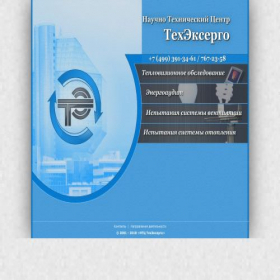 Скриншот главной страницы сайта tehexergo.ru