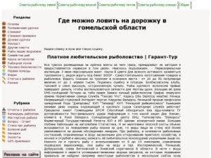 Скриншот главной страницы сайта tehfort.ru