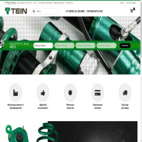 Скриншот главной страницы сайта tein.com.ru