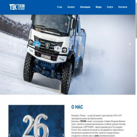 Скриншот главной страницы сайта tekom.com