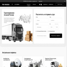 Скриншот главной страницы сайта tekrussia.com